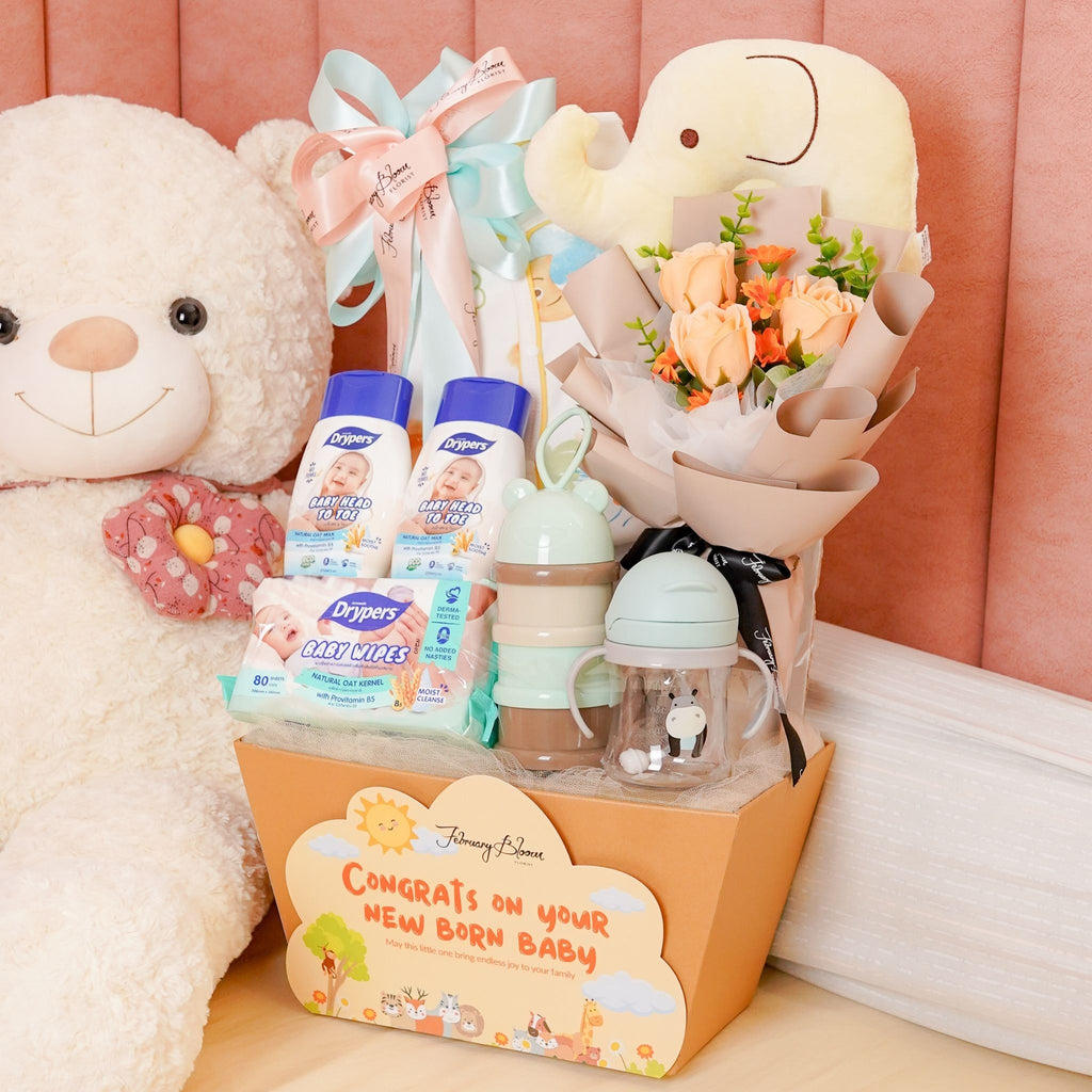 Baby Gift Hamper Delivery KL PJ – February Bloom Florist