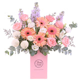 Darling Daisies