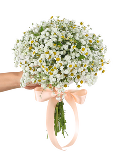 Chamomile Bridal Bouquet - Cammy