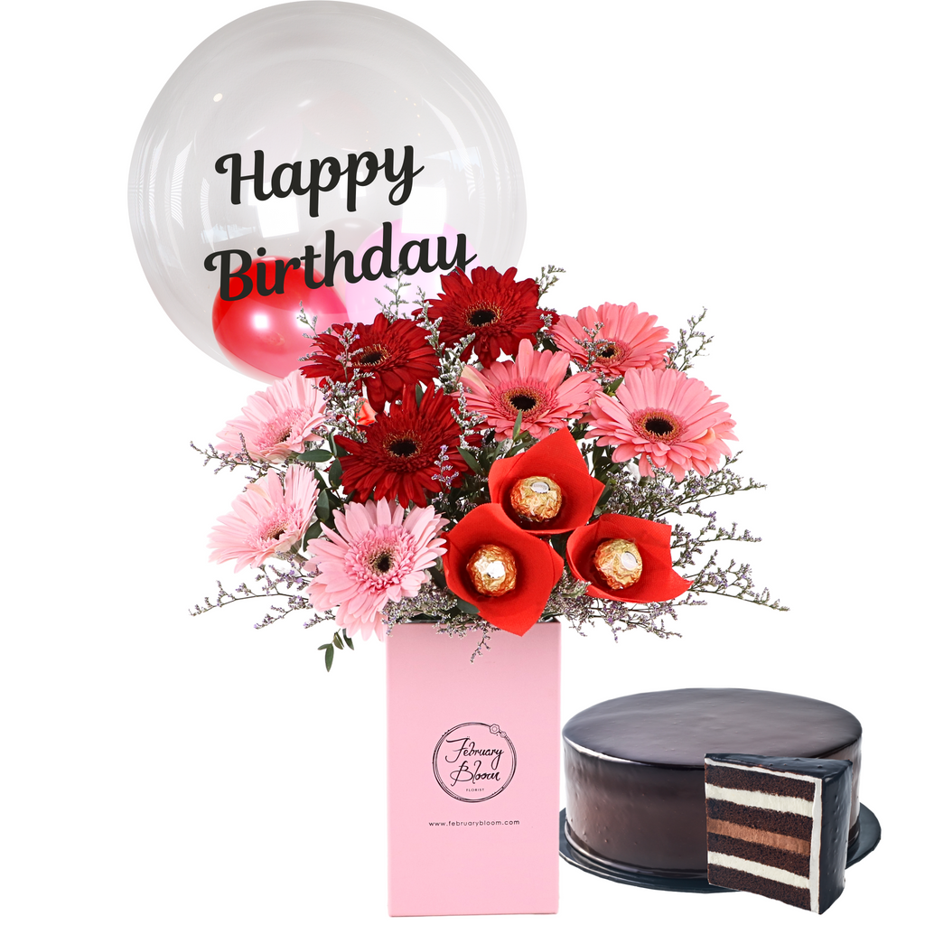 Cheerful Daisy Bundle February Bloom Florist