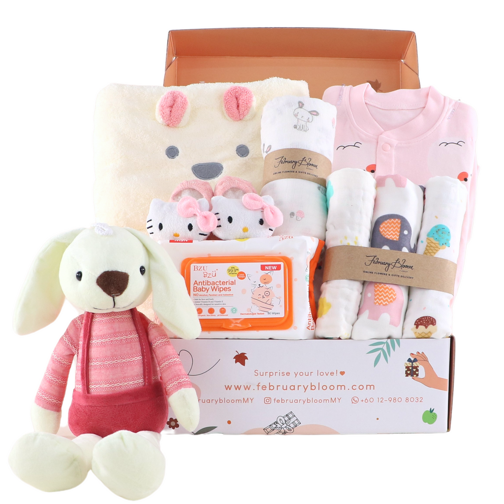 Baby Gift Hamper Delivery February Bloom Florist