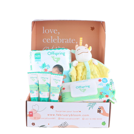 Giving Love Baby Gift Hamper