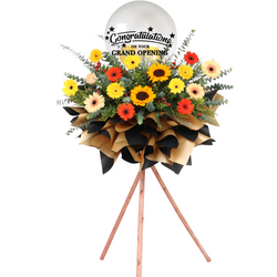 Well Wishes Congratulations Flowers