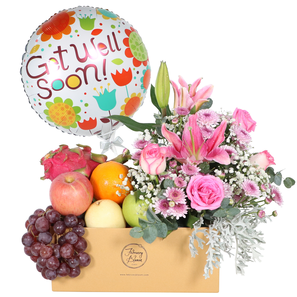 Get Well Wishes Get Well Soon Fruit Basket Delivery KL & PJ February Bloom Florist