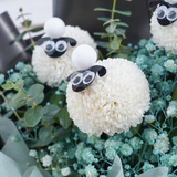 Fluffy Sheep