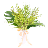 Raya Serenade Potted Orchid