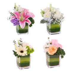 Blosmon Mini Table Centerpieces