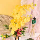 Bahagia Potted Orchid