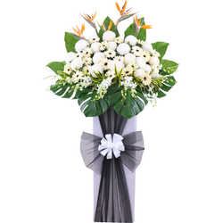 Love & Peace Condolences Stand