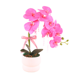 Nataniel Potted Orchid