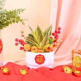 Golden Abundance Royale