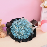 Blue Star Bundle