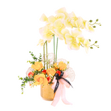 Cahaya Potted Orchid