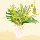 Raya Serenade Potted Orchid