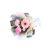 Lights She Gave Bundle - Special For You