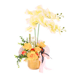 Cahaya Potted Orchid