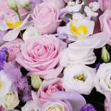 Pink & Posh