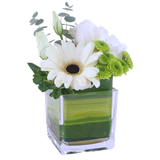 Blosmon Mini Table Centerpieces