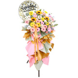 The Millionaire Grand Opening