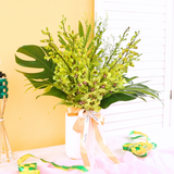 Raya Serenade Potted Orchid