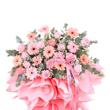Flamingo Bloom Opening Stand