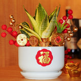 Golden Abundance Royale