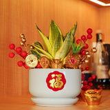 Golden Abundance Royale