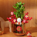 Imperial Fortune Cat