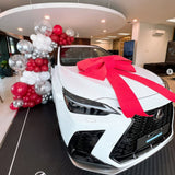 Balloon Car Decoration-Garland