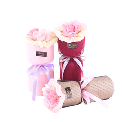 Felicia 3 In 1 Bundle