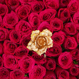 Romantic Red Bloom
