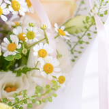Spring Ballad