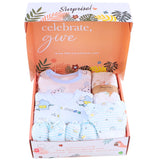 Angel Newborn Baby Gift