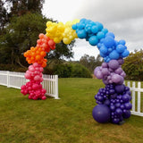 Best Wishes Special Balloon Arch