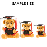 Graduation Bear