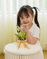 Sweet Snake Plant