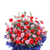 Enterprise Success Bloom