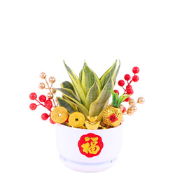 Golden Abundance Royale