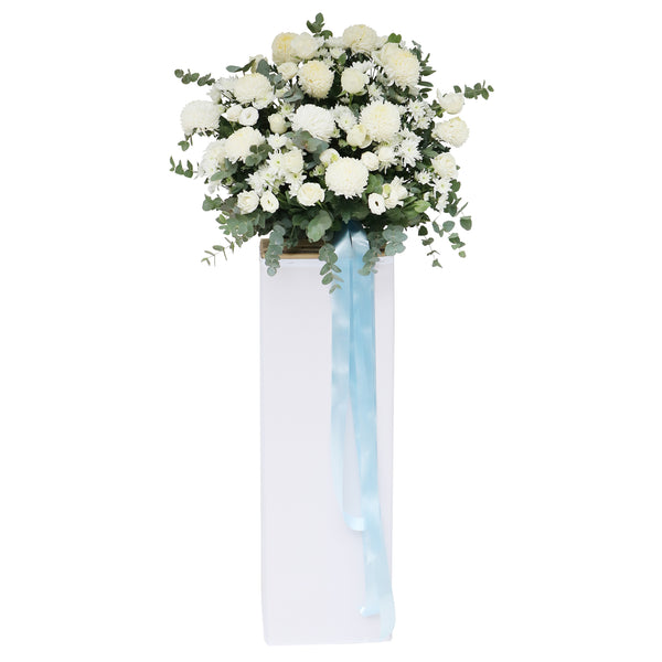 Yorthful Remembrance