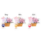 Little Miracle