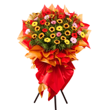 Springing Fortune