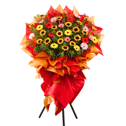 Springing Fortune