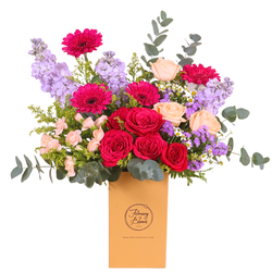 Florenza Rose