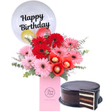 Cheerful Daisy Bundle