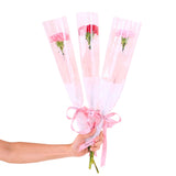 Lynette 3 In 1 Bundle