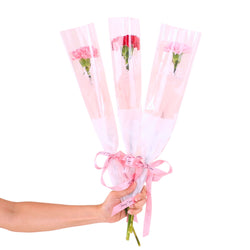 Lynette 3 In 1 Bundle