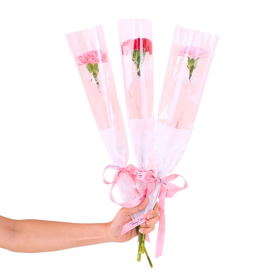 Lynette 3 In 1 Bundle