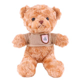 Sweater Teddy Bear