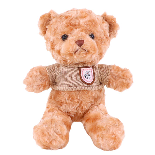 Sweater Teddy Bear