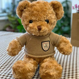 Sweater Teddy Bear